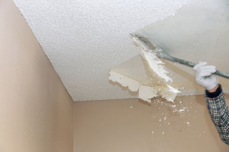 Products For Popcorn Ceiling Removals in use